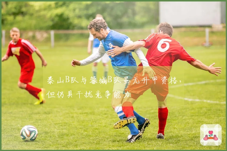 泰山B队与蓉城B队虽无升甲资格，但仍具干扰竞争能力