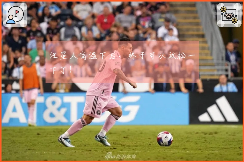 汪星人高温下后，终于可以放松一下了！